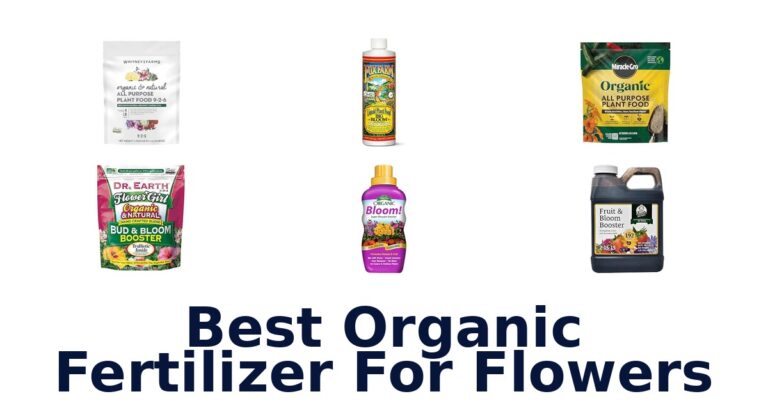 Best Organic Fertilizer For Flowers