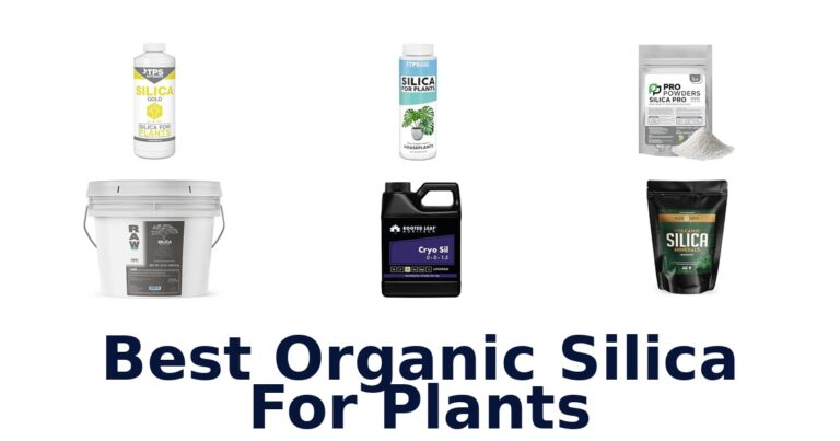 Best Organic Silica For Plants: Compare 10 Options Best Organic Silica For Plants