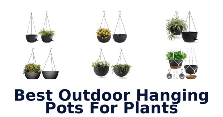 Best Outdoor Hanging Pots For Plants