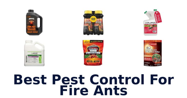 Best Pest Control For Fire Ants
