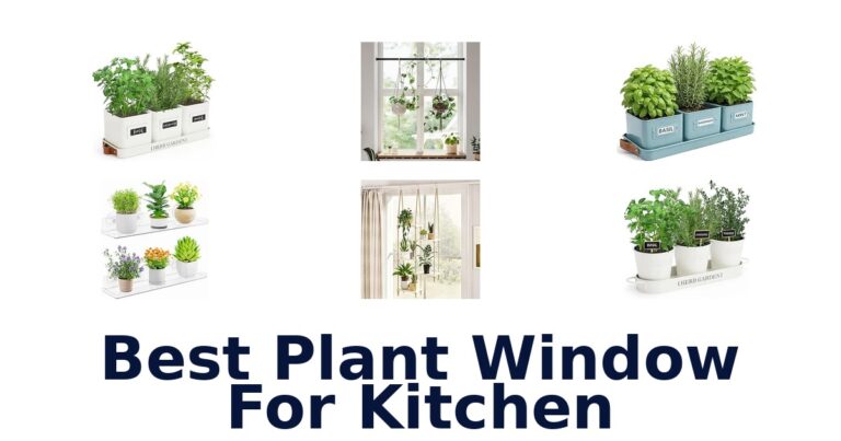 Best Plant Window For Kitchen