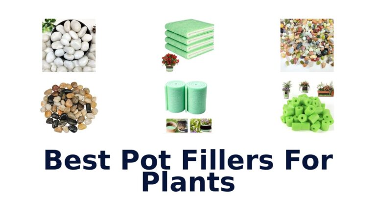 Best Pot Fillers For Plants for Drainage and Lighter Planters Best Pot Fillers For Plants