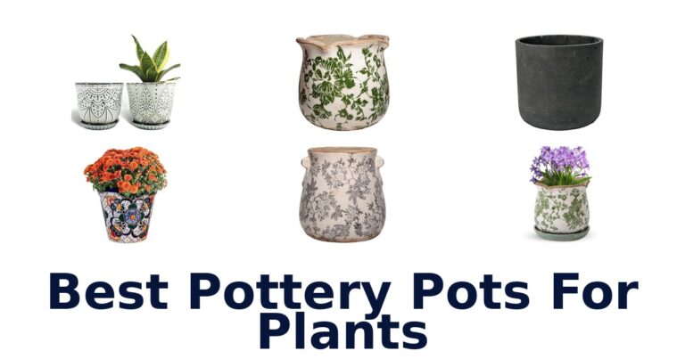 Best Pottery Pots For Plants