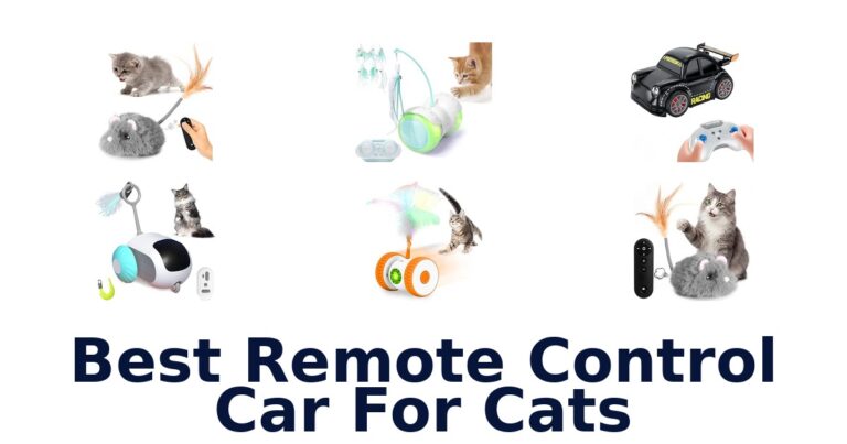 Best Remote Control Car For Cats: Compare Modes and Controls Best Remote Control Car For Cats