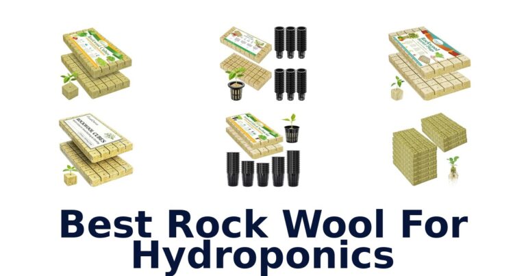 Best Rock Wool For Hydroponics