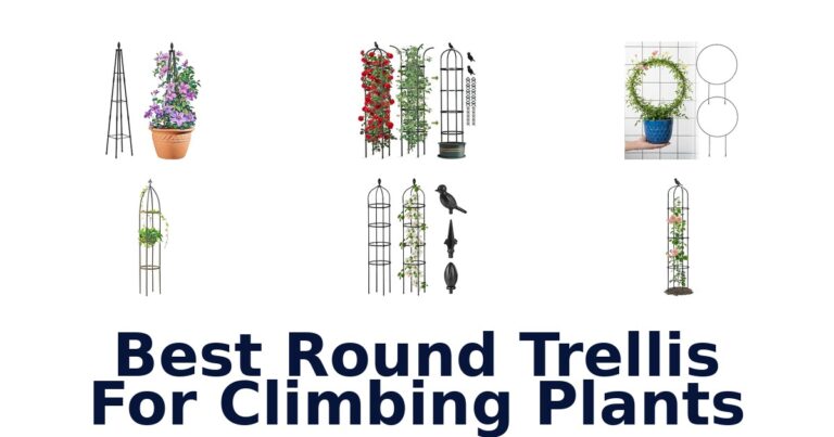 Best Round Trellis For Climbing Plants