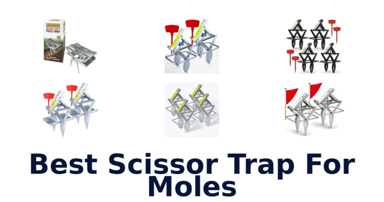 Best Scissor Trap For Moles for Lawns and Gardens Best Scissor Trap For Moles