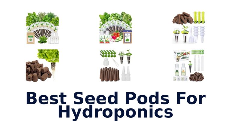 Best Seed Pods For Hydroponics