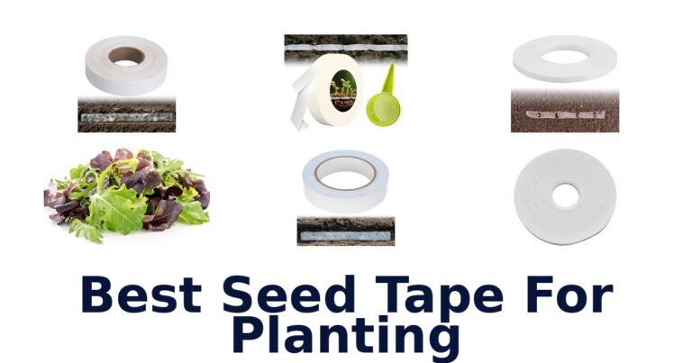 Best Seed Tape For Planting