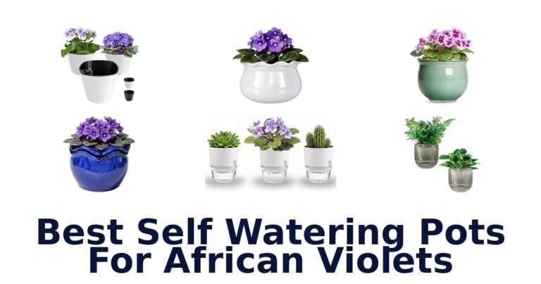 Best Self Watering Pots For African Violets: 10 Picks Compared Best Self Watering Pots For African Violets