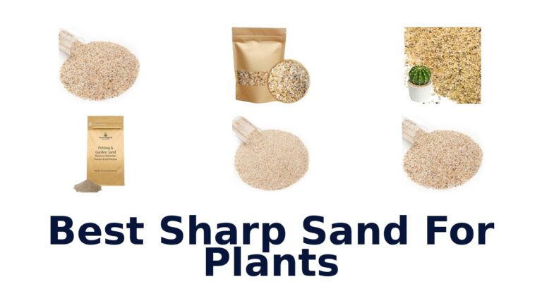 Best Sharp Sand For Plants for Pots, Succulents, and More Best Sharp Sand For Plants