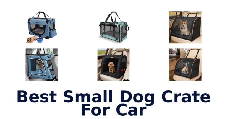 Best Small Dog Crate For Car: Compare Six Travel Options Best Small Dog Crate For Car