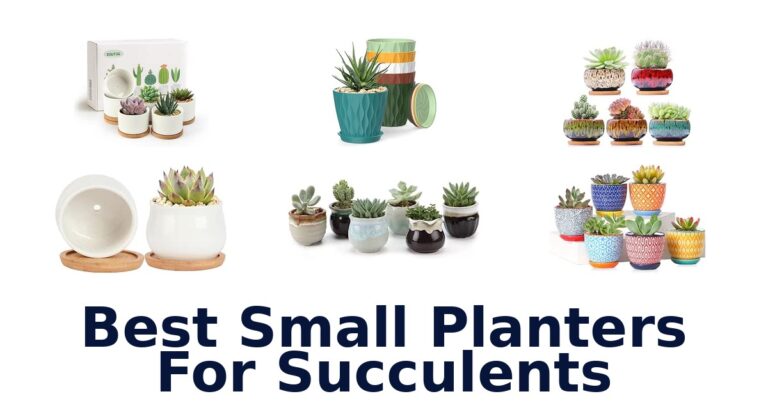 Best Small Planters For Succulents: Compare Mini Pots and Sets Best Small Planters For Succulents