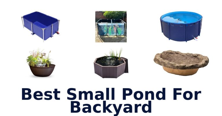 Best Small Pond For Backyard