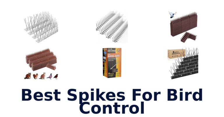 Best Spikes For Bird Control