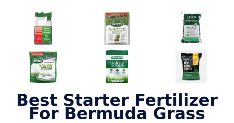 Best Starter Fertilizer For Bermuda Grass