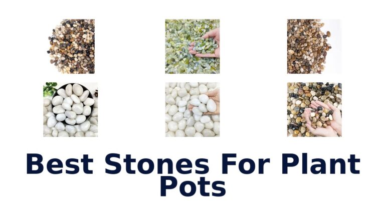 Best Stones For Plant Pots for Indoor and Outdoor Planters Best Stones For Plant Pots