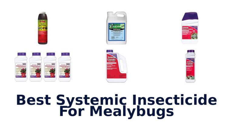 Best Systemic Insecticide For Mealybugs