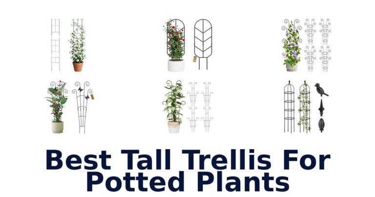 Best Tall Trellis For Potted Plants for Indoor and Outdoor Vines Best Tall Trellis For Potted Plants