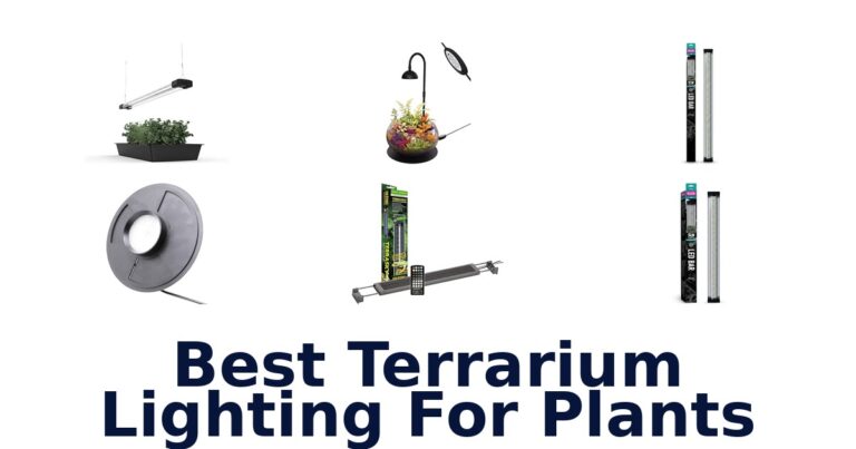 Best Terrarium Lighting For Plants: Compare 7 Options Best Terrarium Lighting For Plants