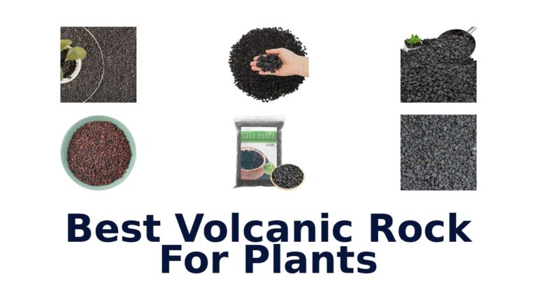 Best Volcanic Rock For Plants: 10 Options Compared Best Volcanic Rock For Plants