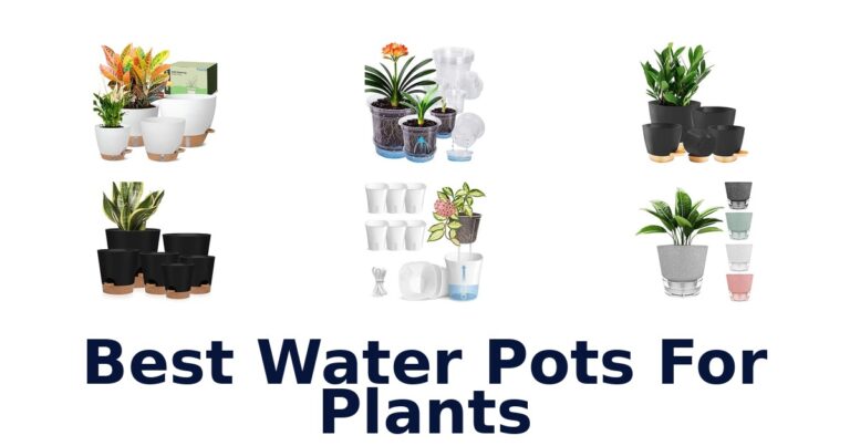 Best Water Pots For Plants: Self-Watering Sets Compared Best Water Pots For Plants
