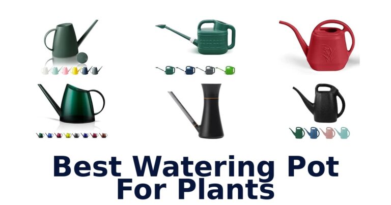 Best Watering Pot For Plants